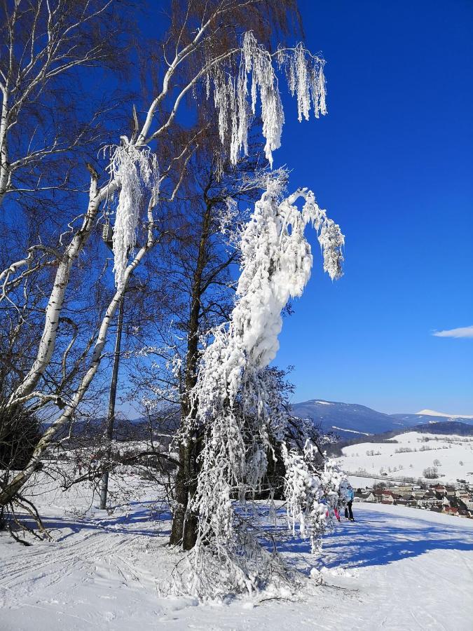 Penzion U Nasich Mladé Buky Exteriör bild