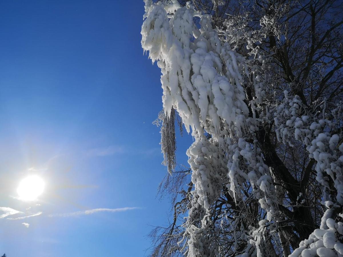 Penzion U Nasich Mladé Buky Exteriör bild